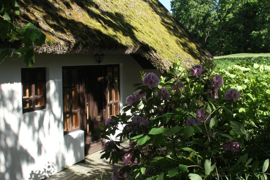 Denderi Villa Rubene Стая снимка