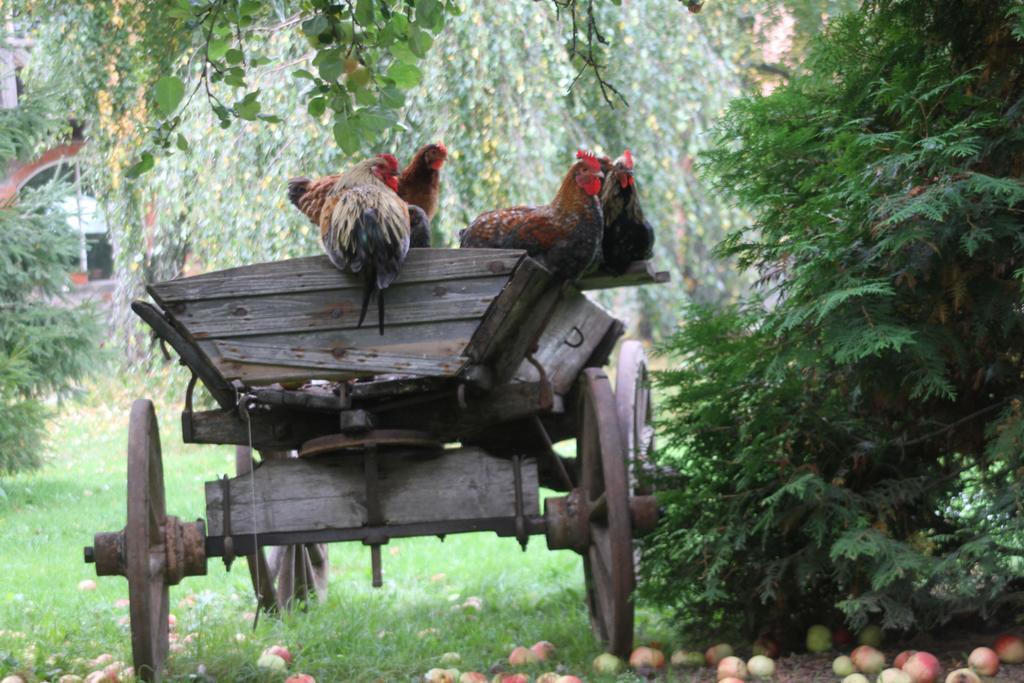 Denderi Villa Rubene Стая снимка